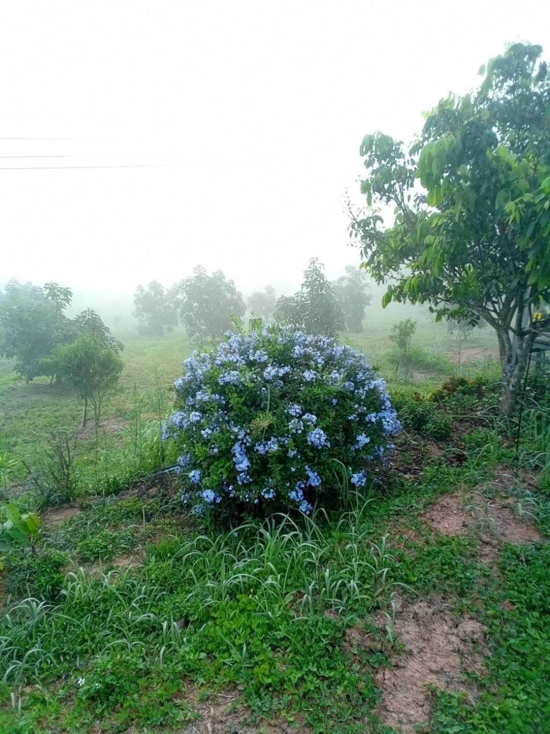 Phu Aram Khao Kho Resort Kültér fotó