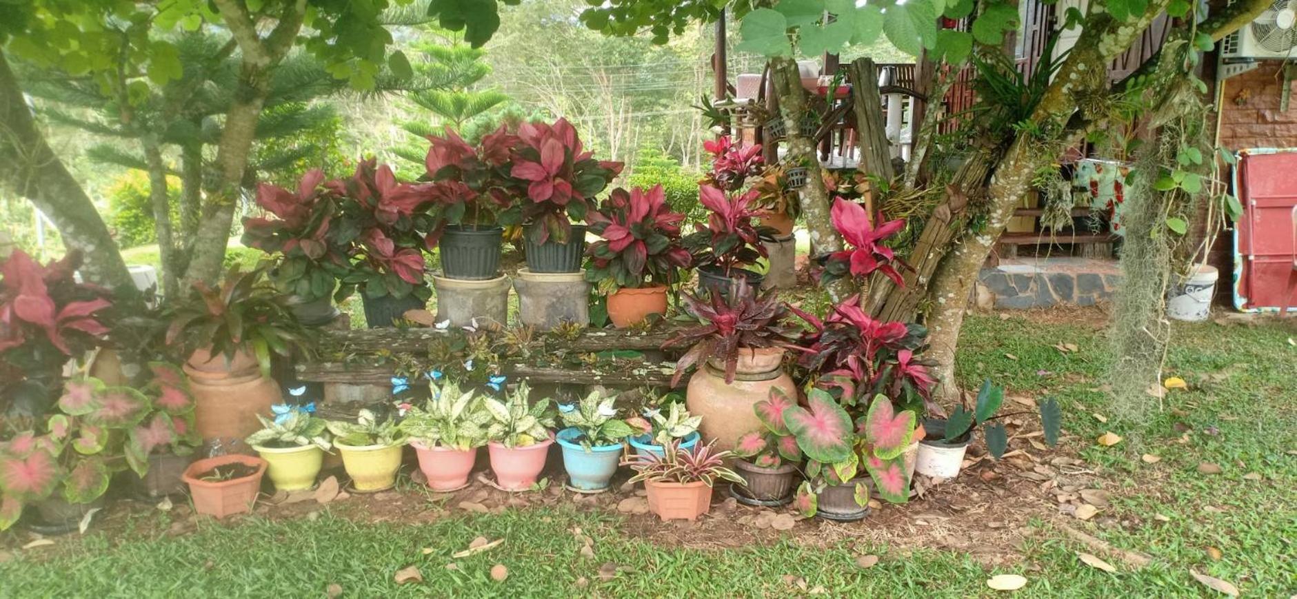 Phu Aram Khao Kho Resort Kültér fotó