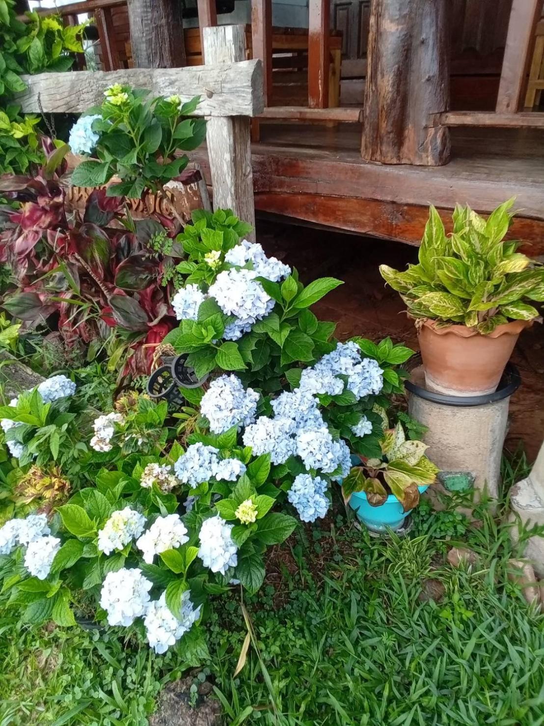 Phu Aram Khao Kho Resort Kültér fotó