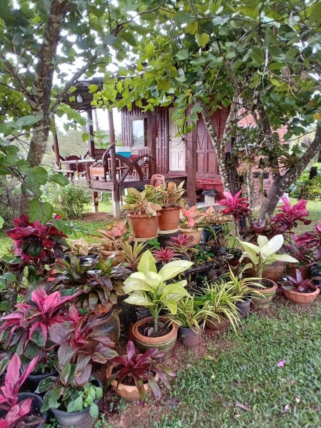 Phu Aram Khao Kho Resort Kültér fotó